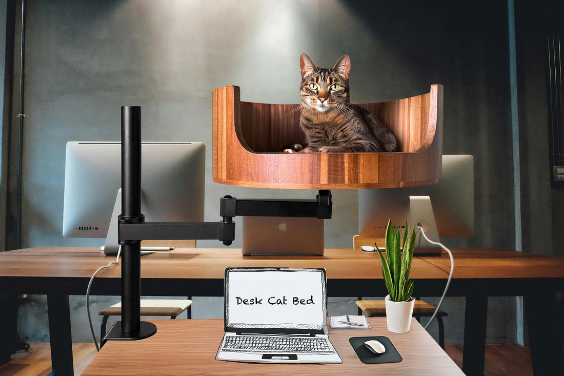 boucle cat bed