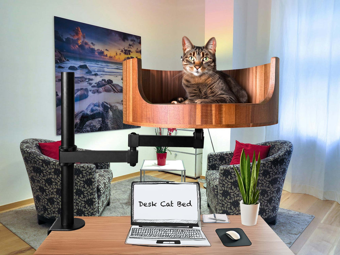 cat bed bowl