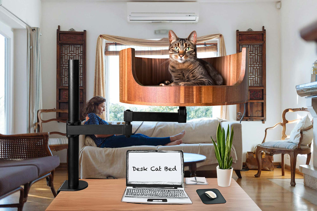 cat bed coffee table
