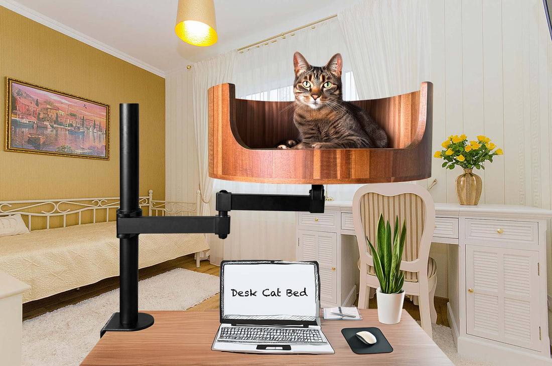 cat bed elevated