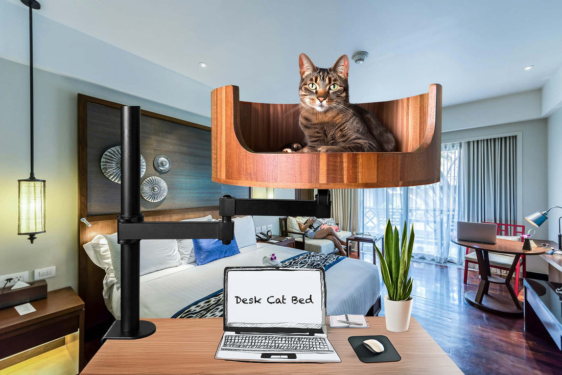 cat bed enclosed