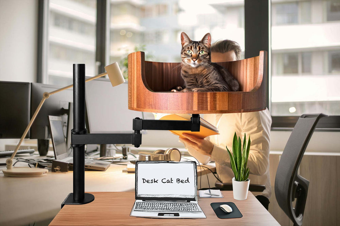 cat bed enclosure