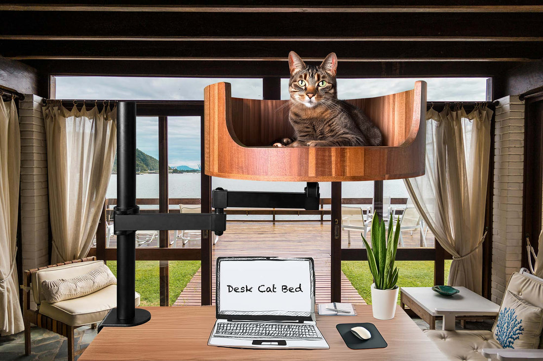 cat bed grey