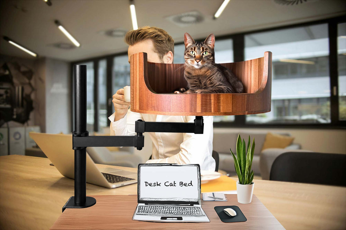cat bed hammock
