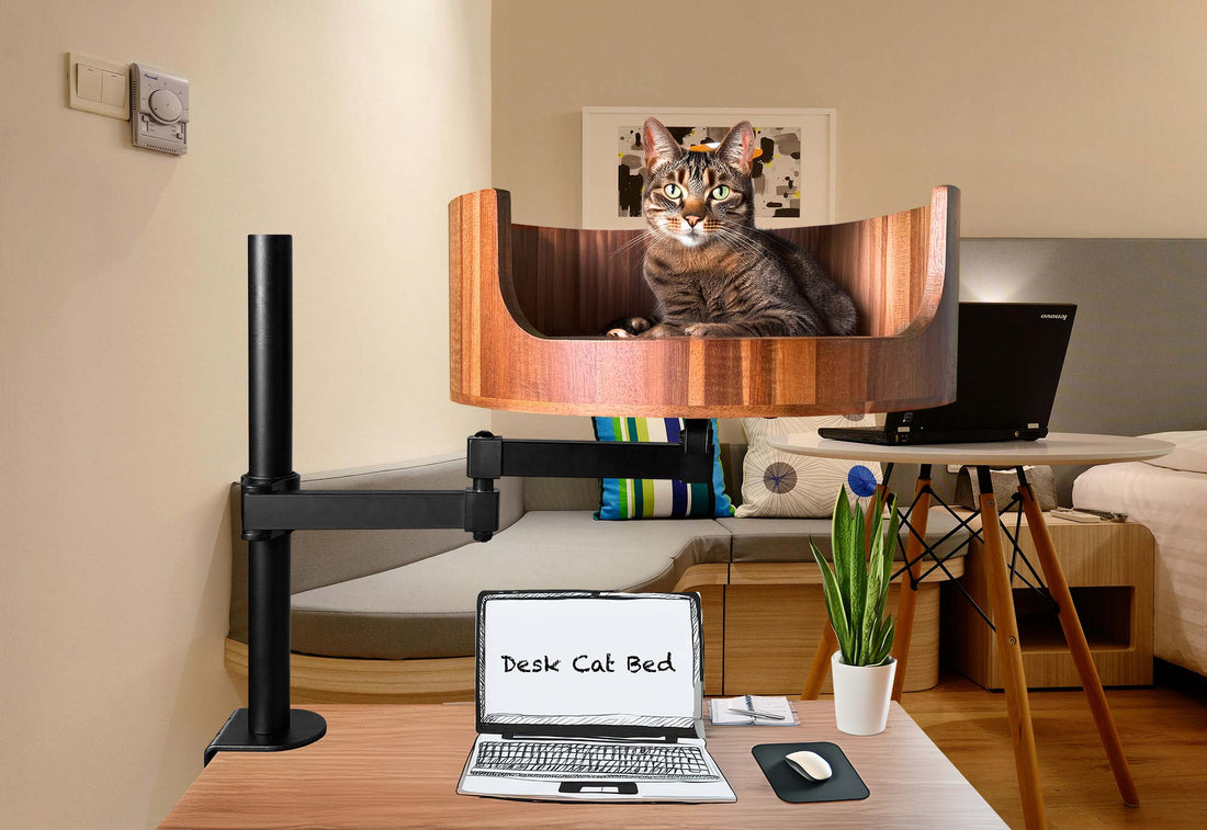 cat bed hat for humans