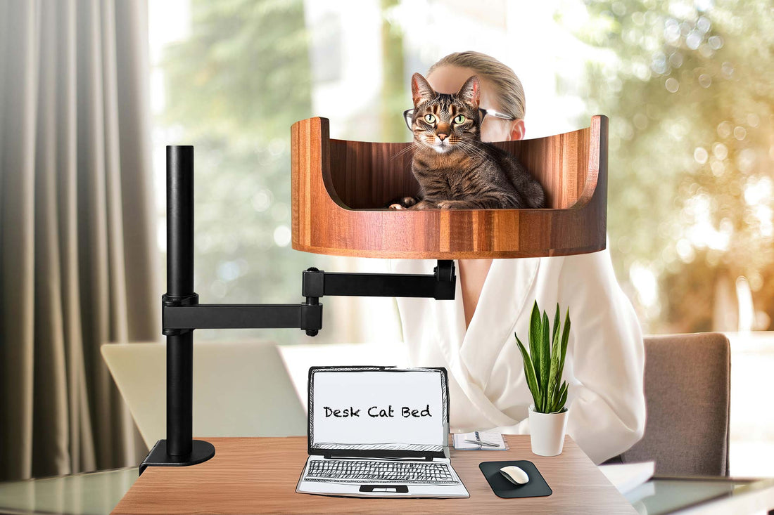 cat bed hat