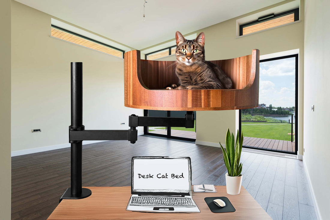 cat bed nearby
