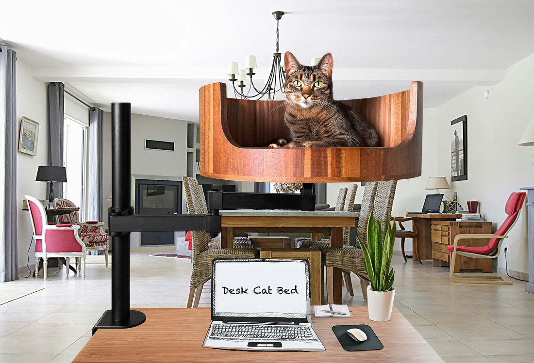 cat bed next to human bed
