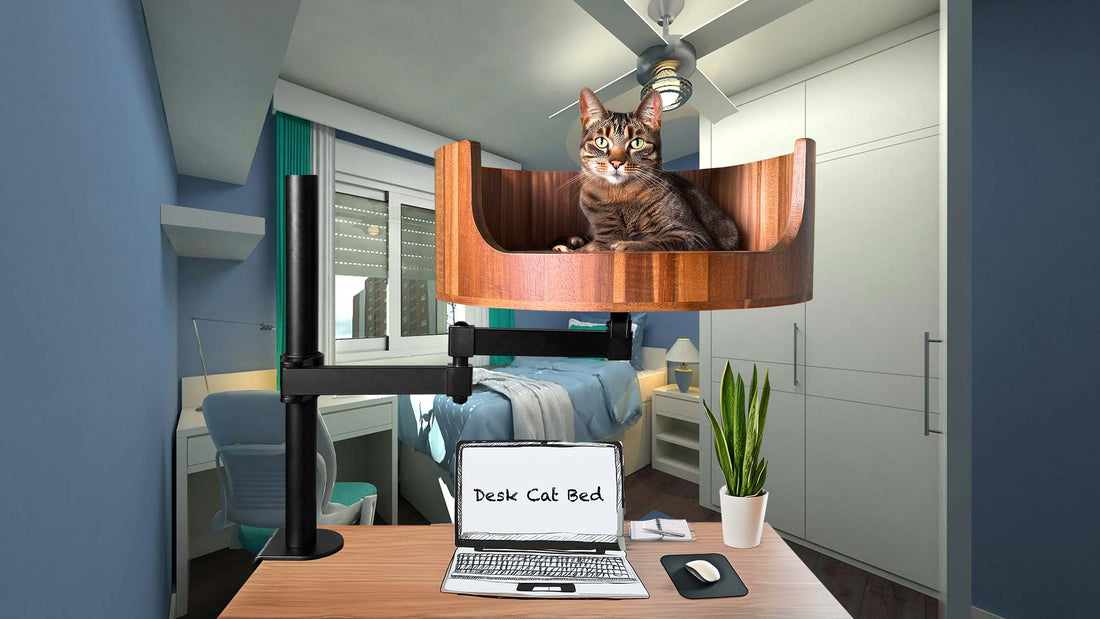 cat bed perch