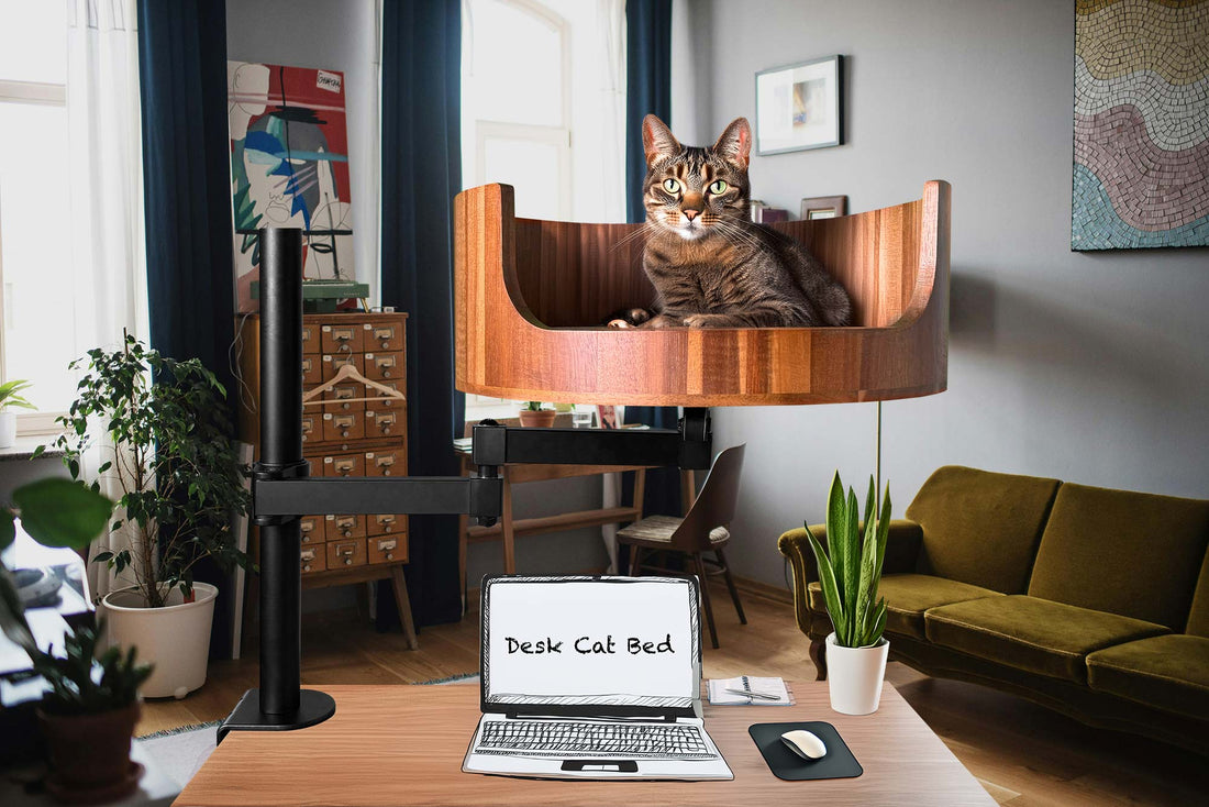 cat bed platform