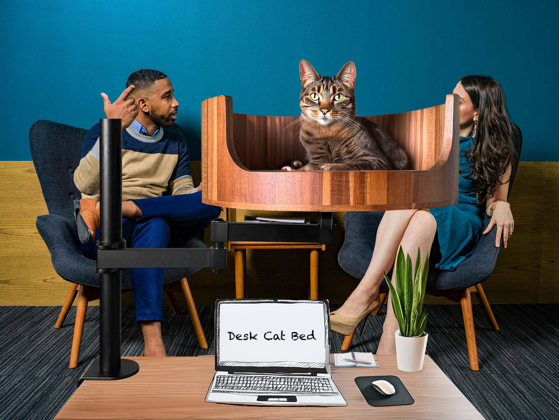 cat bed queen size