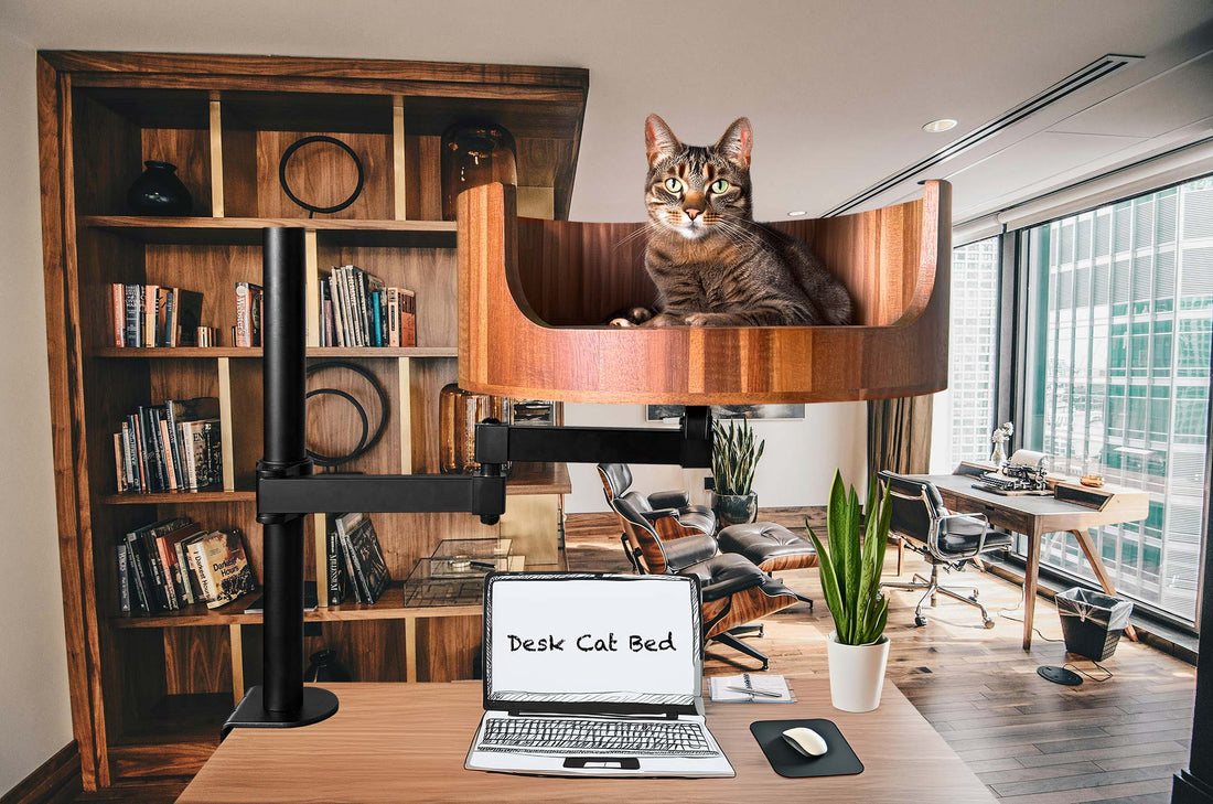 cat bed quirky
