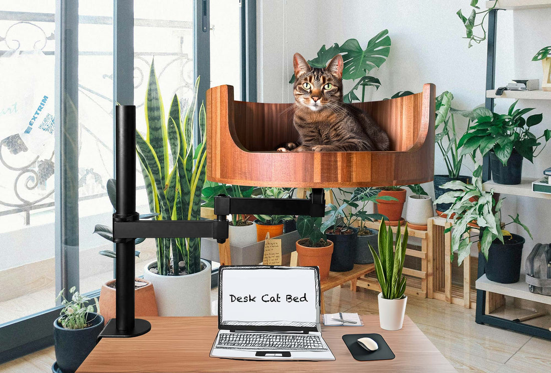 cat bed round