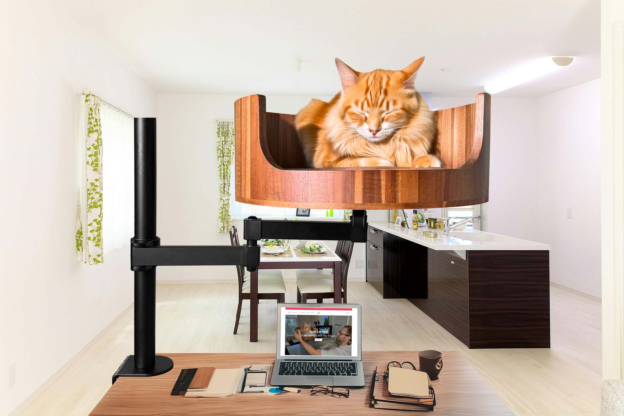 Cat Third Eyelid Showing No Other Symptoms: What to Know – Desk Cat Nest