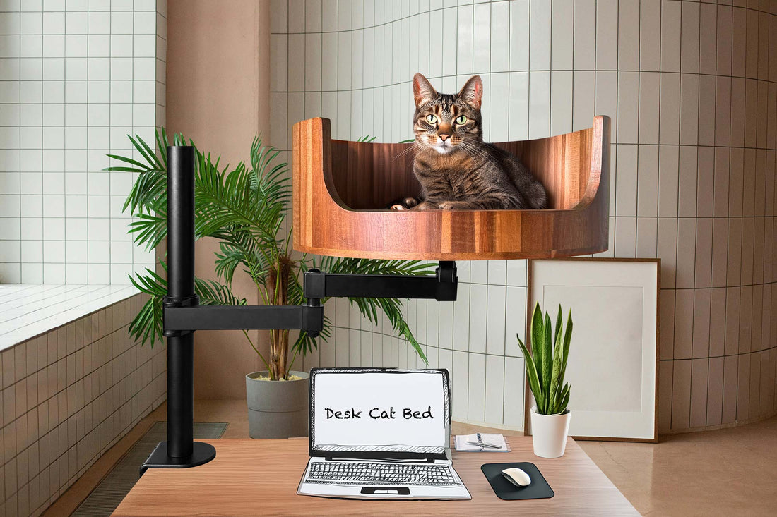 designer cat bed