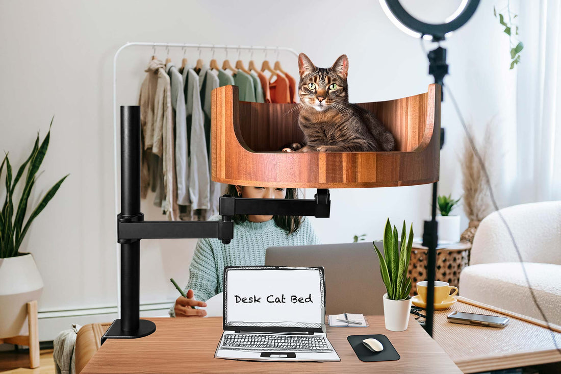 egg chair cat bed
