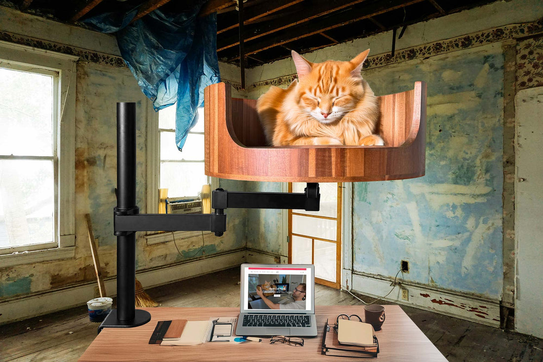 elevated cat beds
