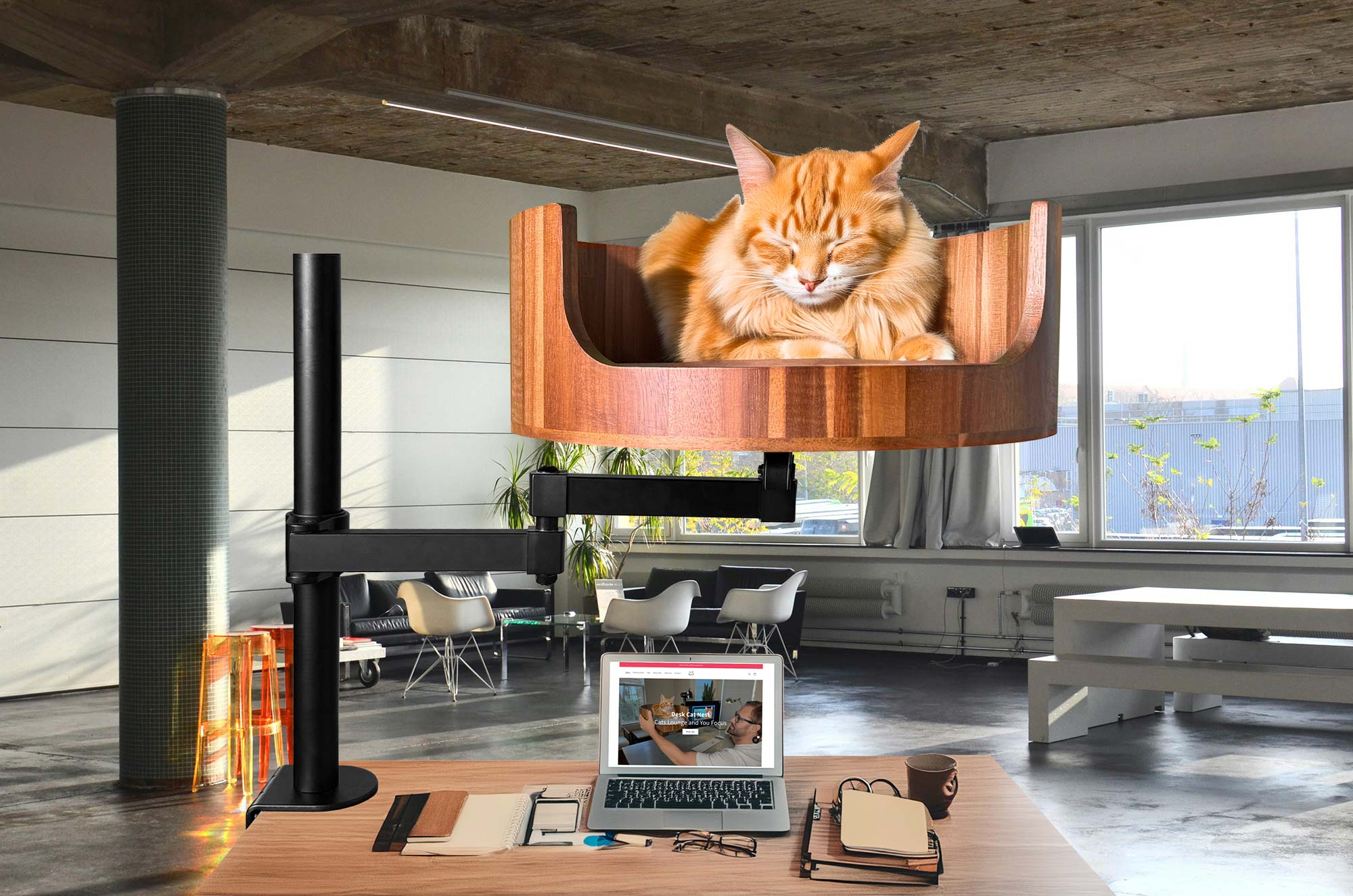Feline Zodiac Sign Discover Your Cat's Astrological Traits Desk Cat Nest