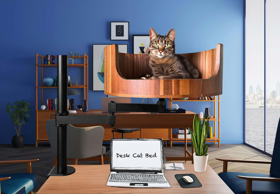 ginger cat bed and breakfast