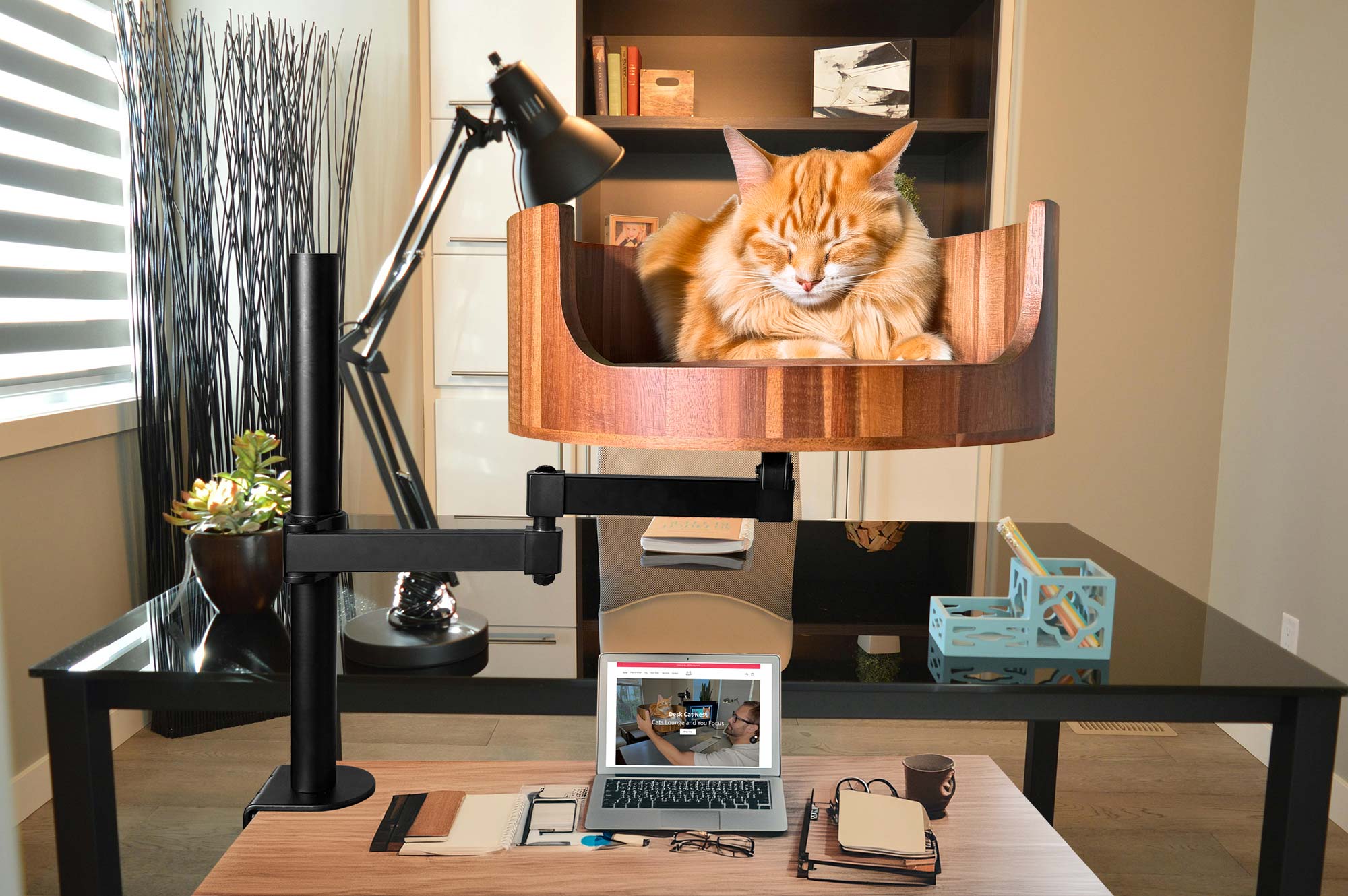 How To Tell What Breed Your Cat Is: A Quick Guide – Desk Cat Nest