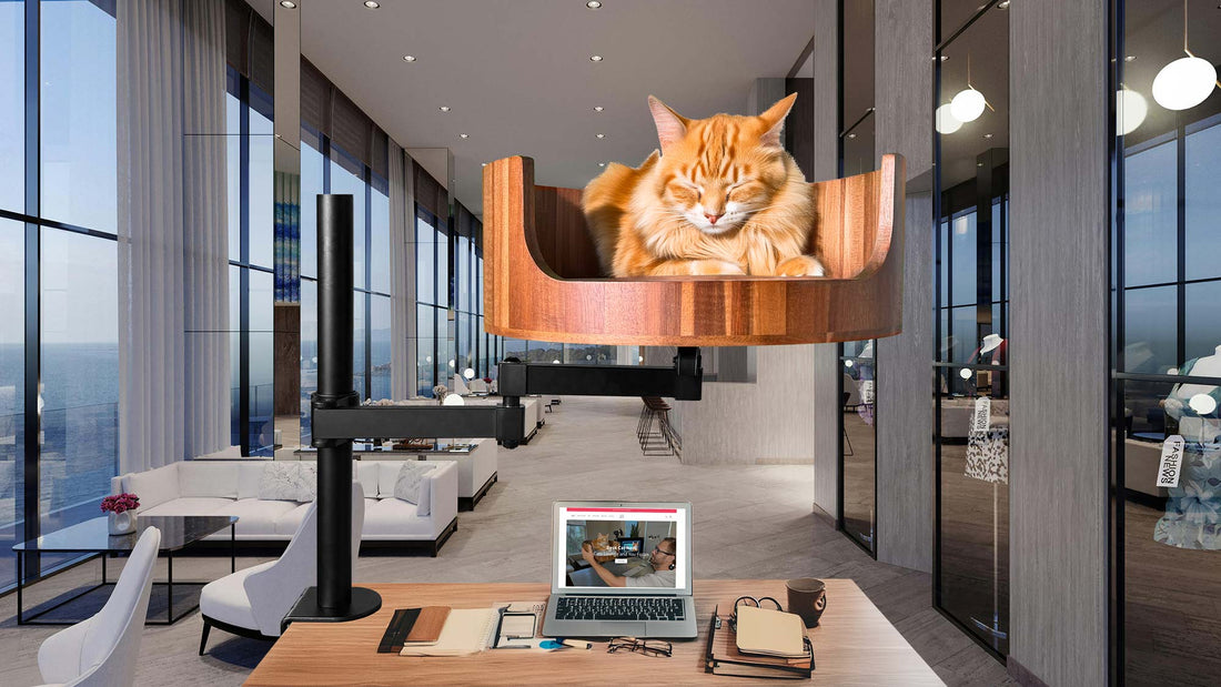 human sized cat beds