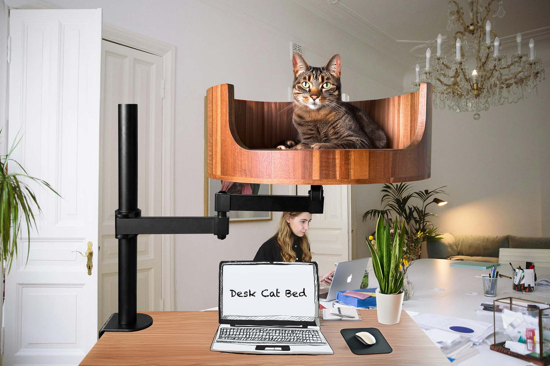 juicy couture cat bed