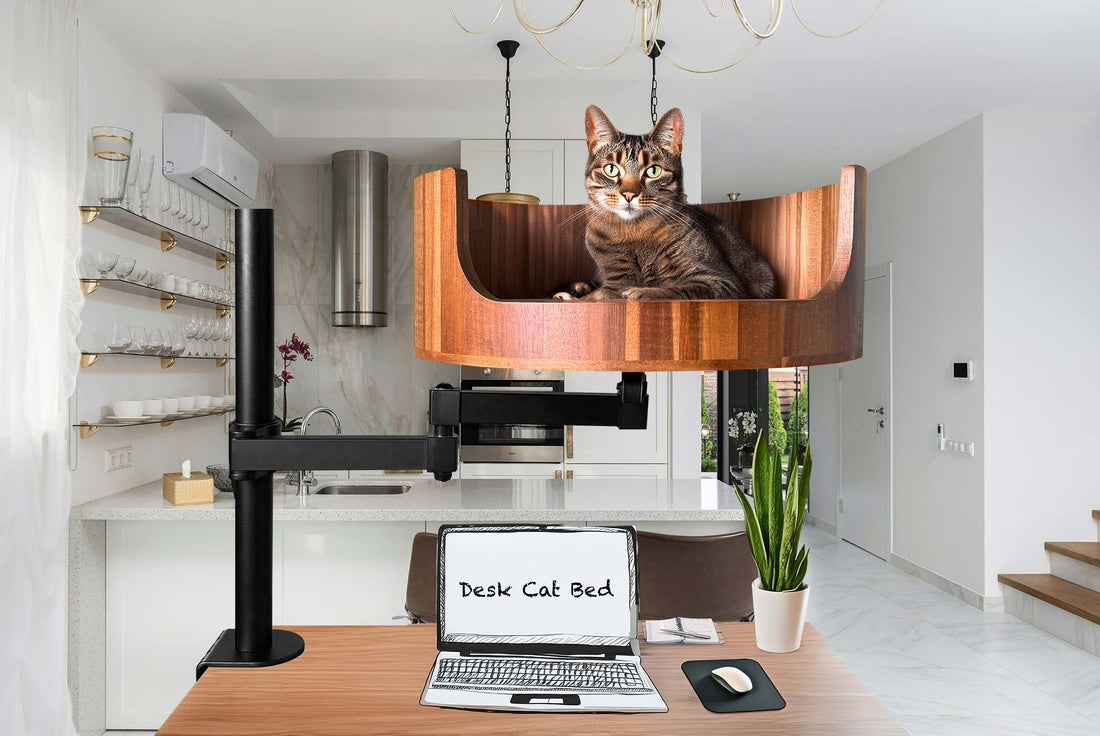 large cat bed for 2 cats