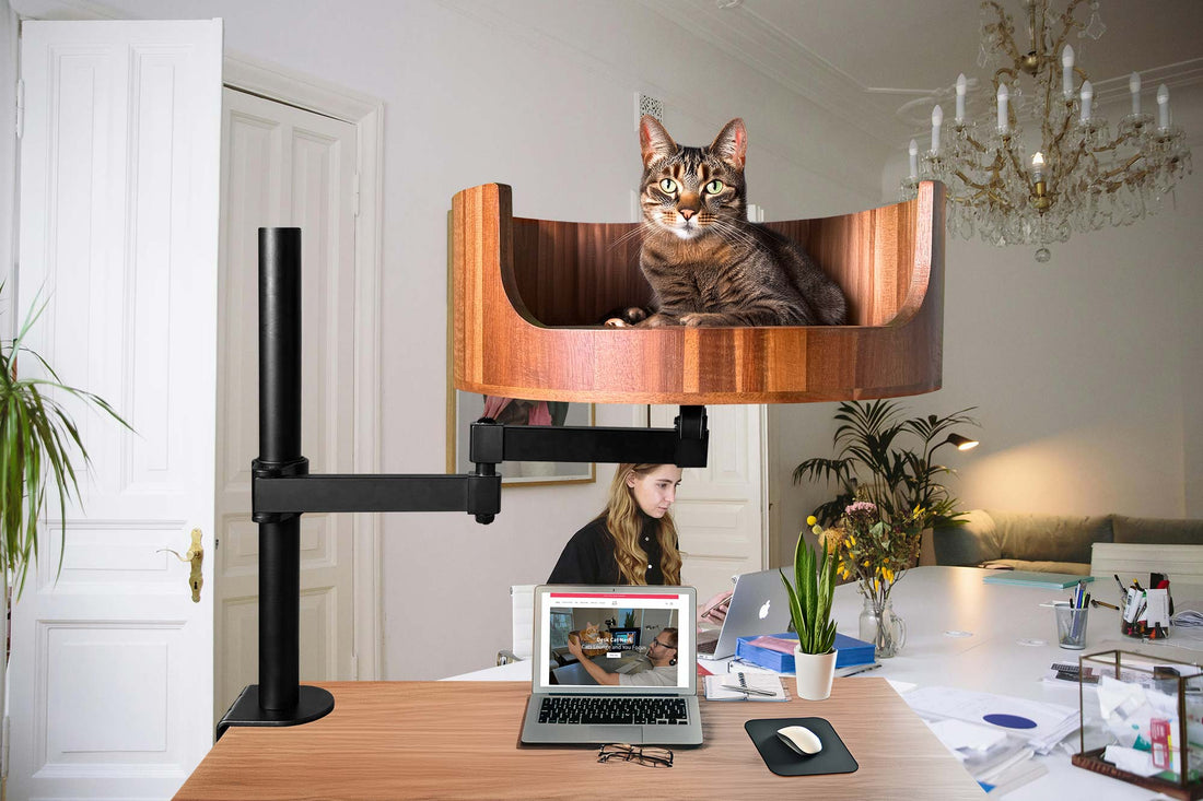 my cat 5g