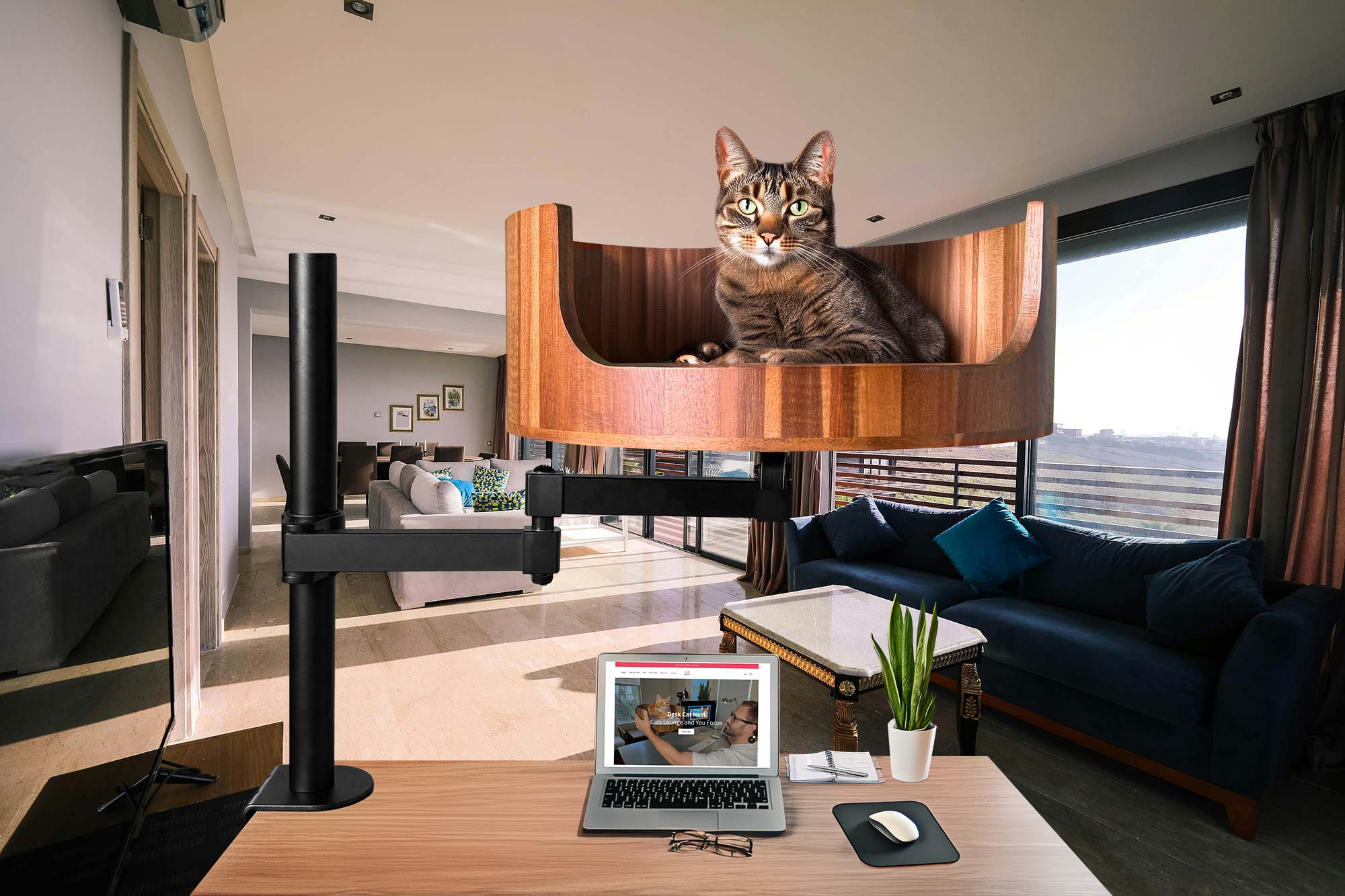 My Cat Won't Stop Meowing at Night: What to Do? – Desk Cat Nest - Reduce Cat Meowing At Night By 50 Device