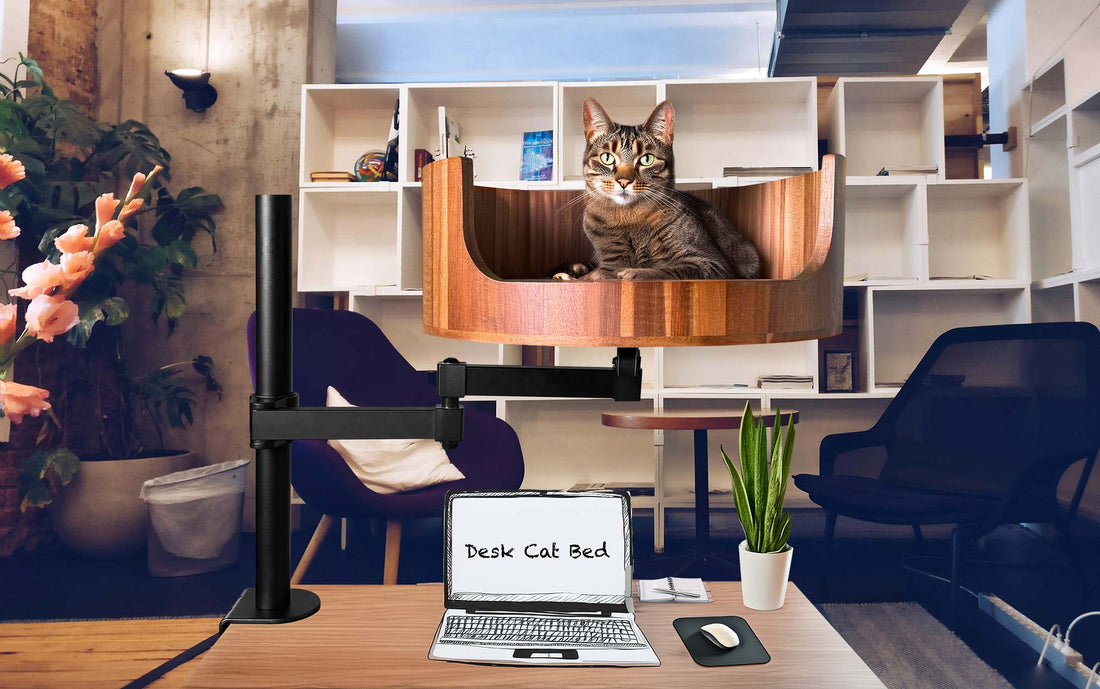 navy cat bed