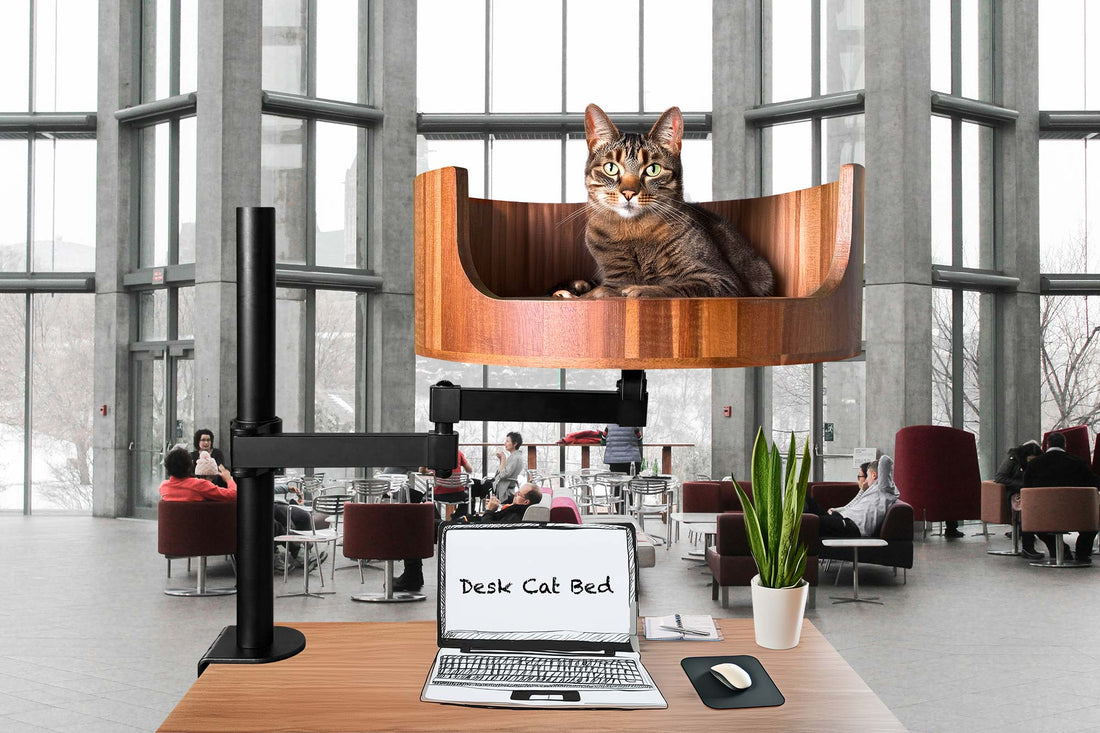no sew cat bed