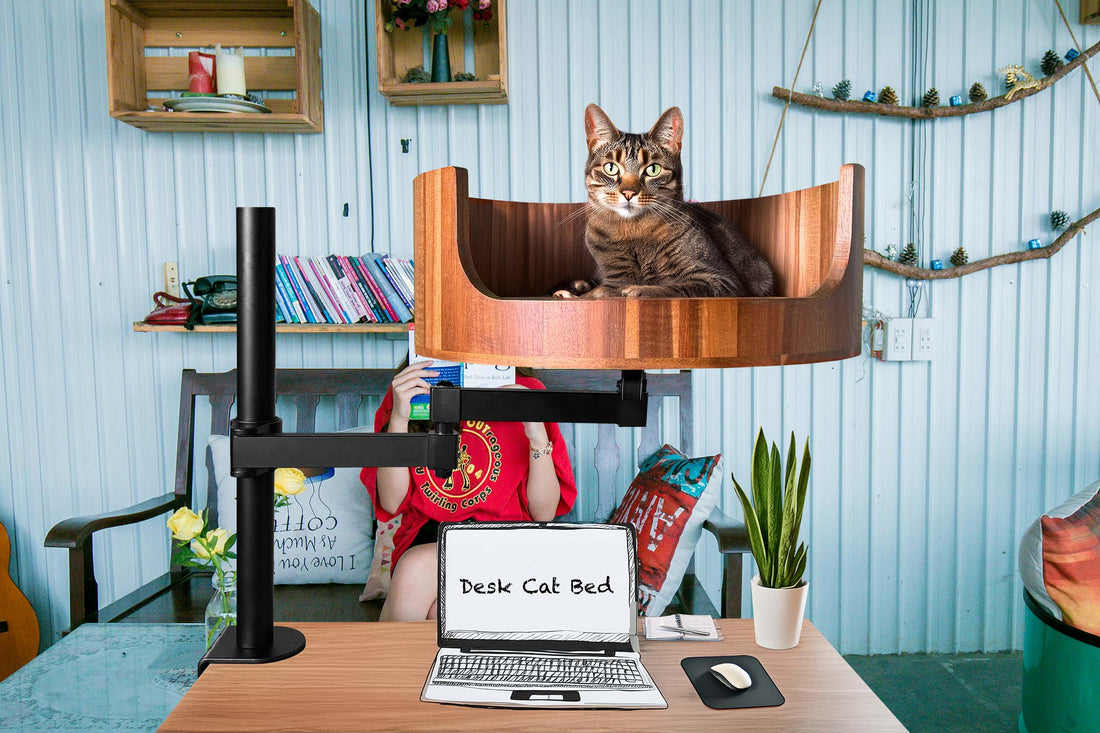outdoor cat bed ideas