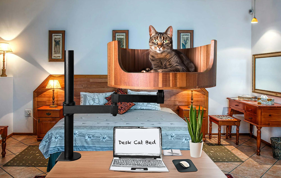 petsmart cat bed