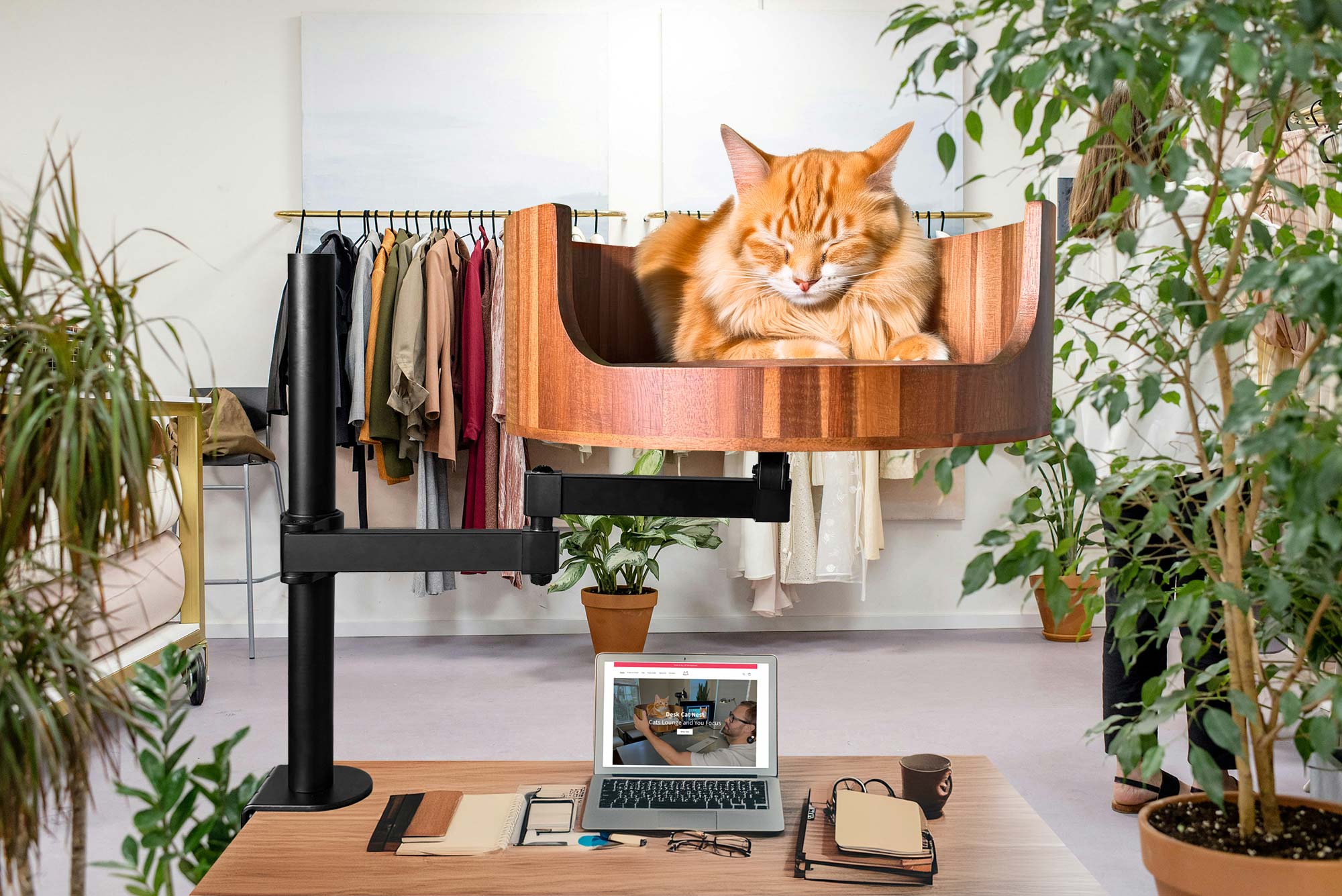 Why Do Cats Poop on Your Bed? Understanding the Behavior – Desk Cat Nest