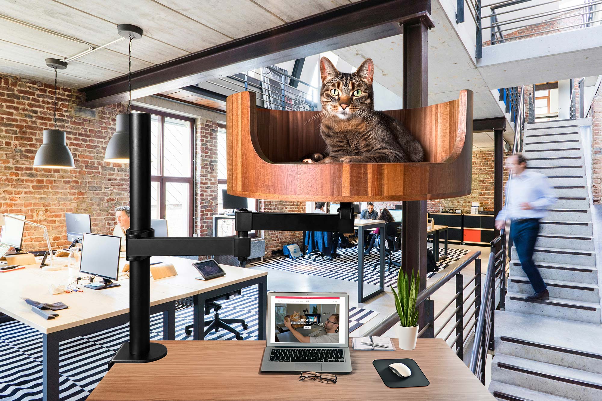 Why Does My 16 Year Old Cat Cry At Night Desk Cat Nest why-does-my-16-year-old-cat-cry-at-night-desk-cat-nest