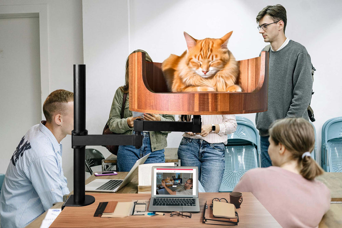 Desk Mounted Nest  Cat Bed Australia: The Perfect Workspace Solution