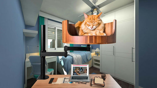 Desk Mounted Nest  Cat Bed Kickstarter: A Cozy Solution for Cats