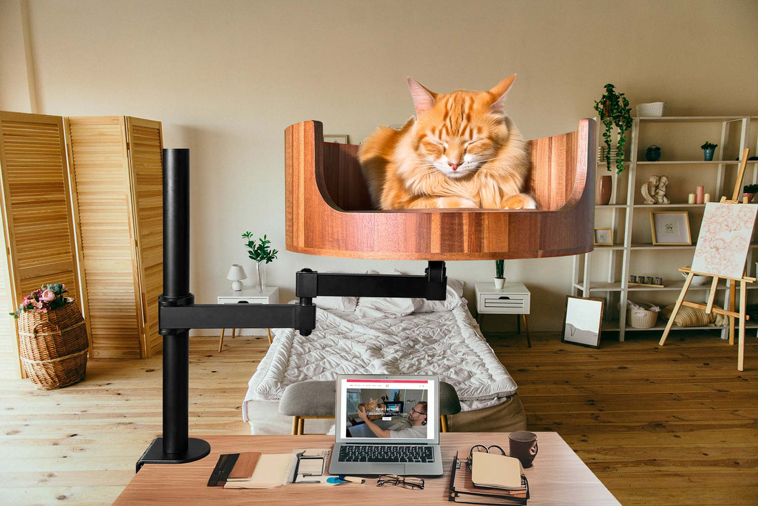 Desk Mounted Nest  Cat Bed UK: The Perfect Workspace Companion