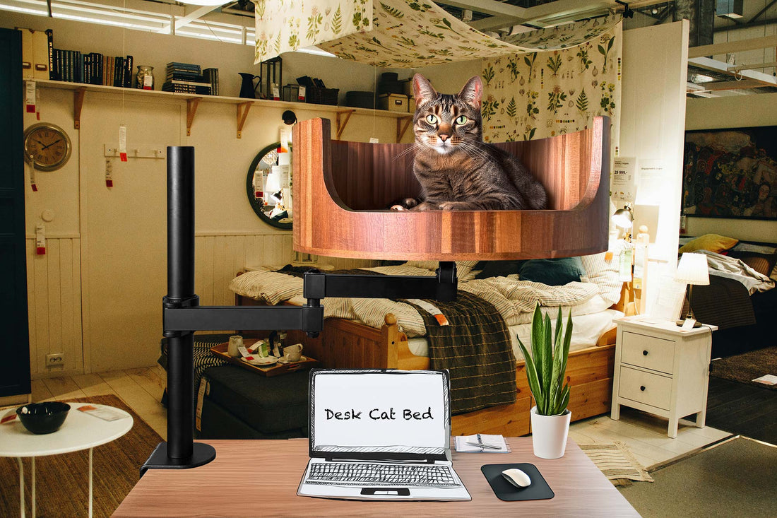 anti anxiety cat bed