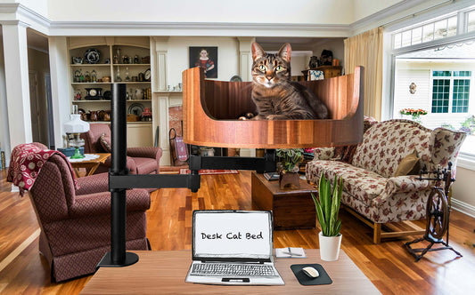 argos heated cat bed