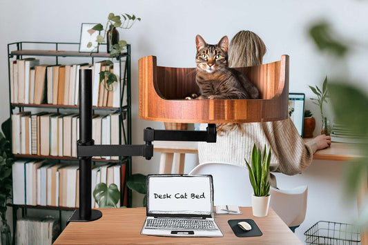 calming cat bed