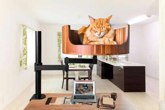 Cat Bed Aesthetic: Elevate Your Pet's Comfort and Style