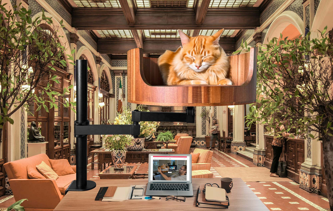 cat bed argos