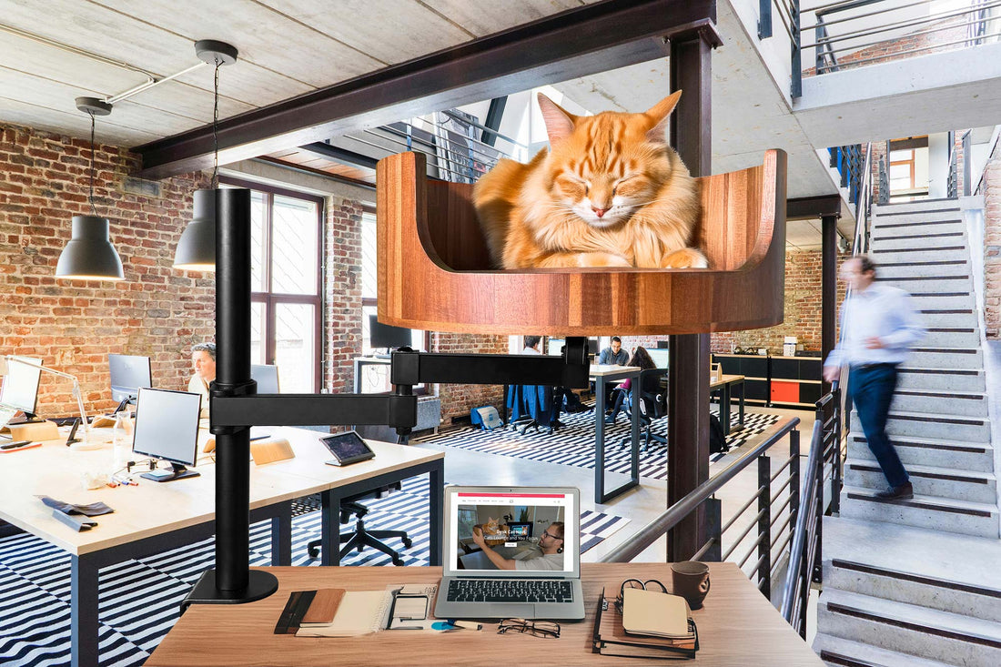 Cat Bed Attachment for Desk: A Cozy Workspace Solution