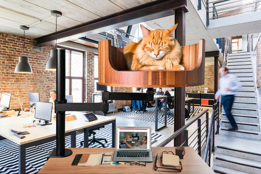 Cat Bed Attachment for Desk: A Cozy Workspace Solution