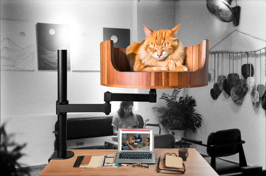 Cat Bed Desk Attachment: A Cozy Workspace Solution