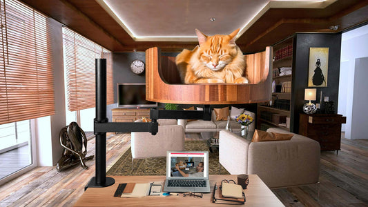 Cat Bed Desk: The Perfect Solution for Pet Owners