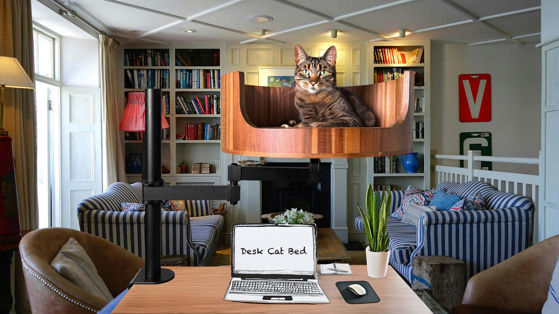 cat bed for desk reddit