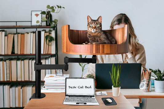 cat bed for older cats