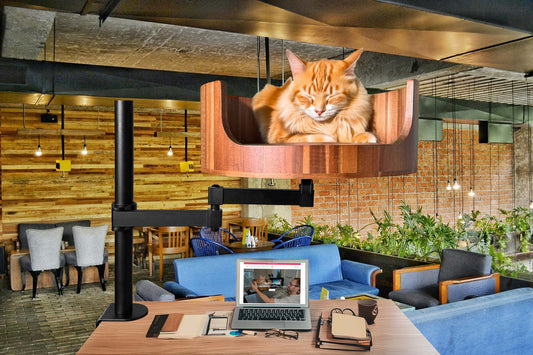 Cat Bed on Desk: A Cozy Workspace Solution